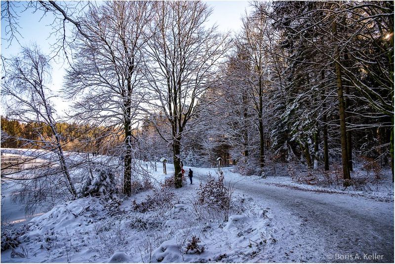 Winters walk