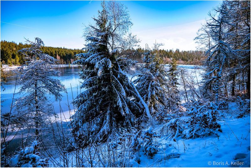 Winter Wonderland