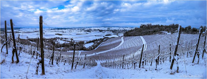 Winter Panorama