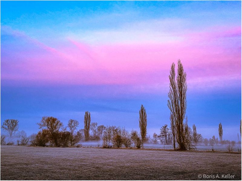 Foggy morning