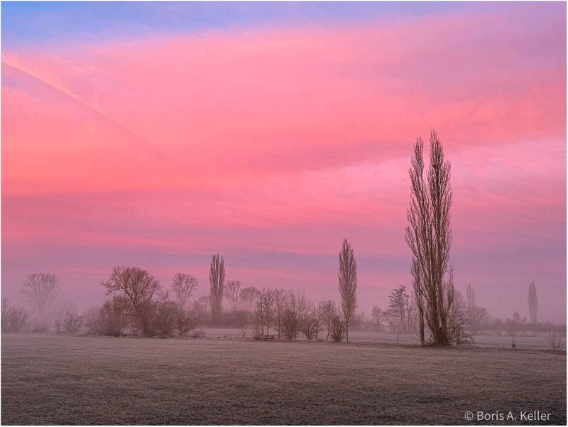 Misty morning