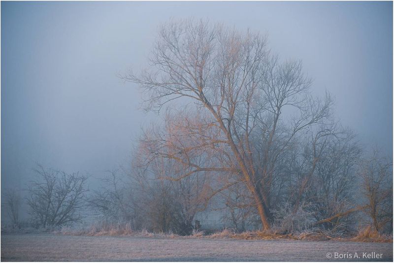 Frosty spring morning
