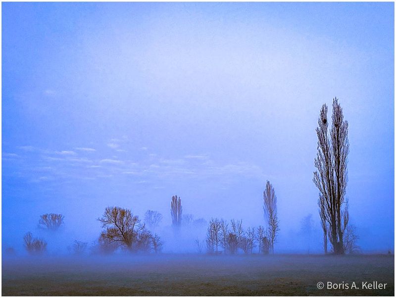 Morning fog