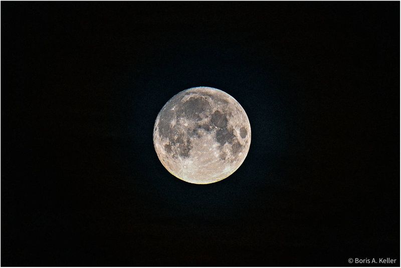 Pink Full Moon