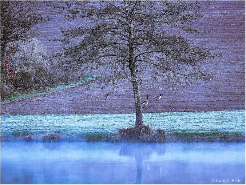 By the lake