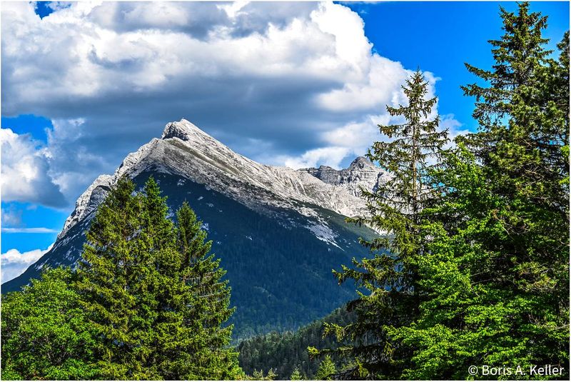 Mountain view