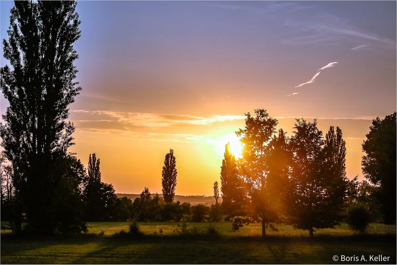Sommernachtstraum