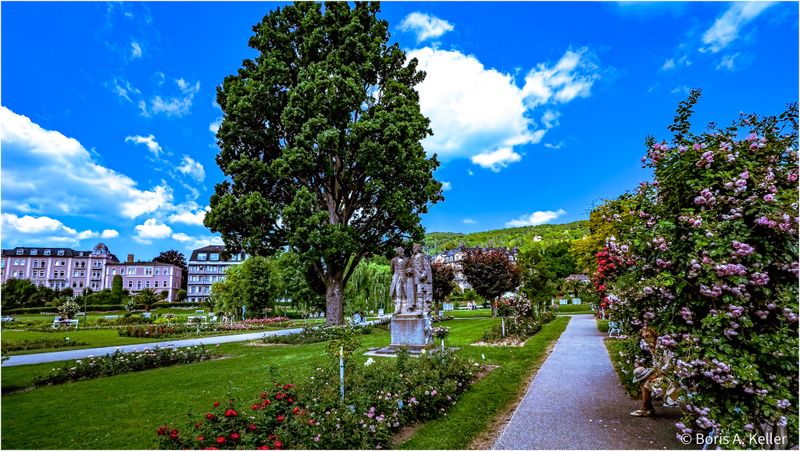 Im Rosengarten