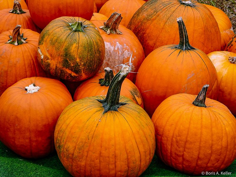 Pumpkins