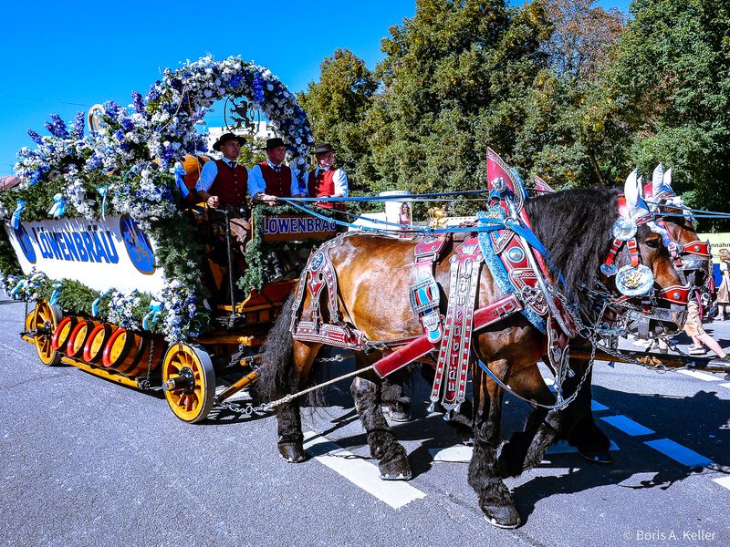 Brauereiwagen