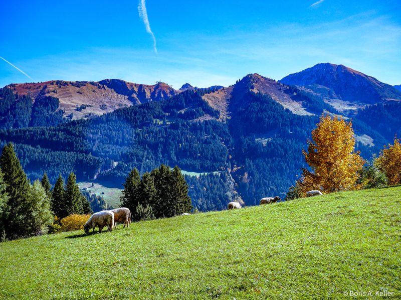 Allgäuer Alpen