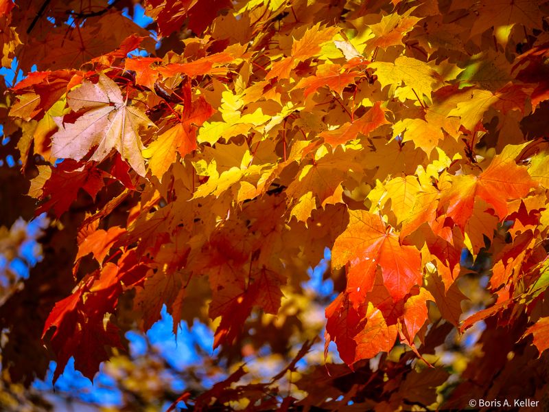 Autumn 2025