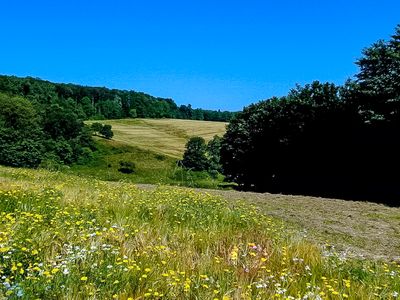 Fields of summer...