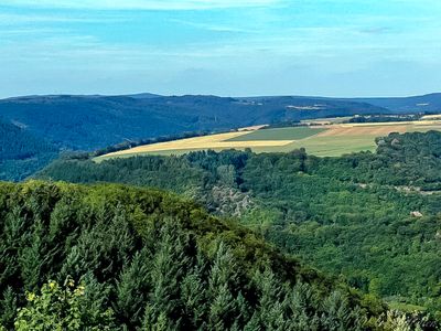 Im Wald und auf der Heide...