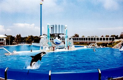 Sea World 