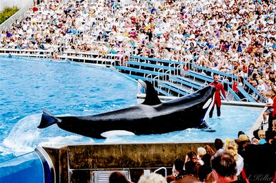 Sea World 