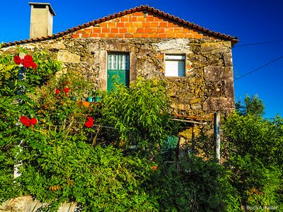 The old house
