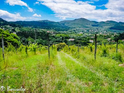 Countryside