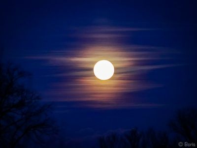 Moonlight