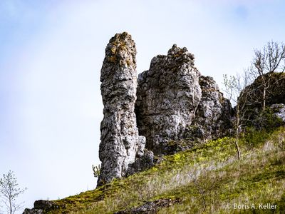 Wiesenthauer Nadel