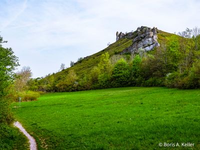 Naturschutzgebiet Ehrenbrg 