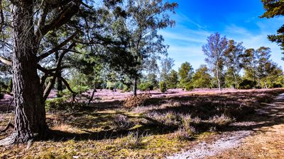 g13/57/738357/3/174857623.db9a8d54.JPEG