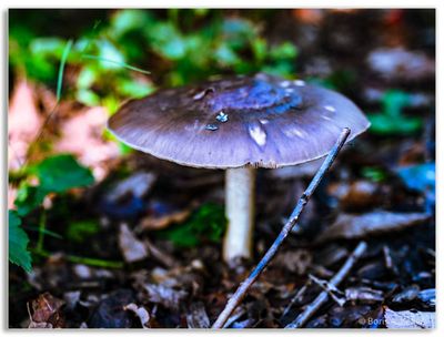 g13/57/738357/3/174922791.c5d74f93.JPEG