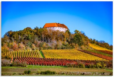 Hoheneck Castle