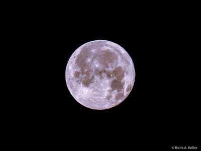 g13/57/738357/3/175697929.a5e042c7.JPEG