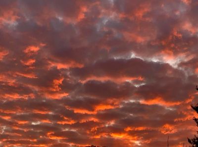 g13/57/743557/3/175082961.2af4b102.JPEG
