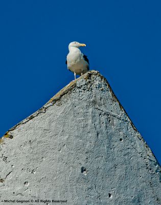 Monitoring the situation on the beach