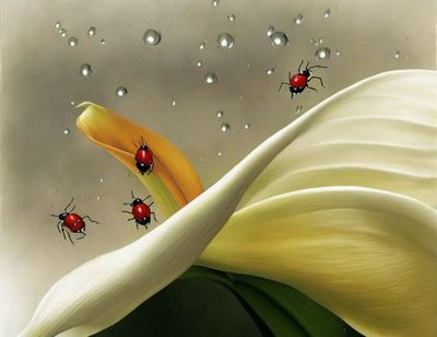 236 Beetleful Calla Lily.jpg
