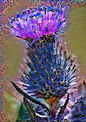 222 Wild Thistle.jpg