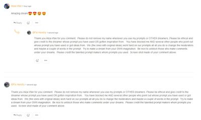 Aliza Irfan commenting.jpg
