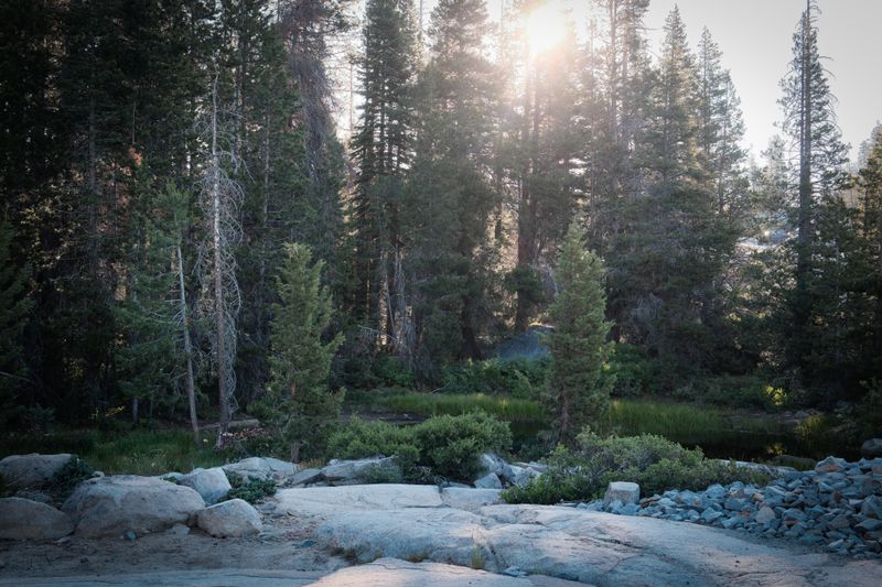 Buck Island, Rubicon Trail