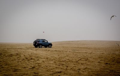 g13/57/932657/3/174550294.03760dda.JPEG