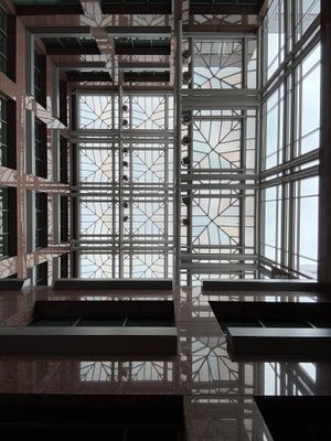 lines
