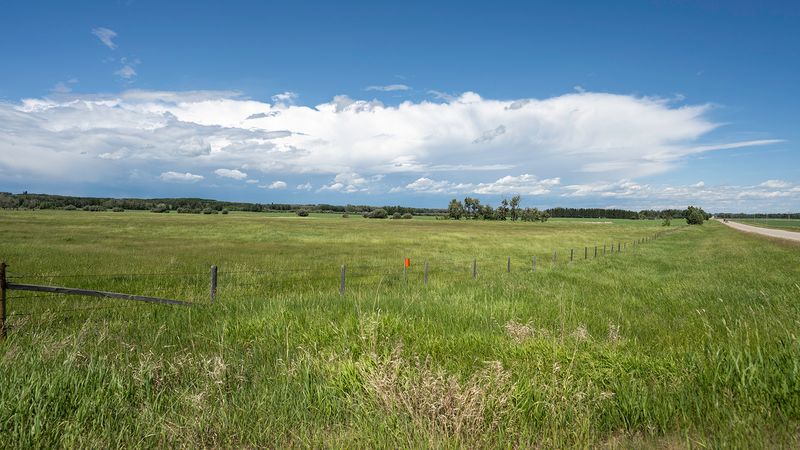 June 2023 Farmscape