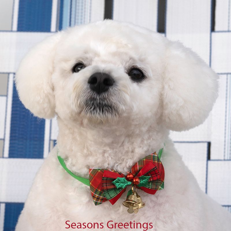 Seasons Greetings