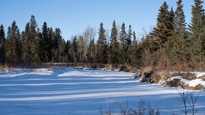 Winter At Red Lodge Park