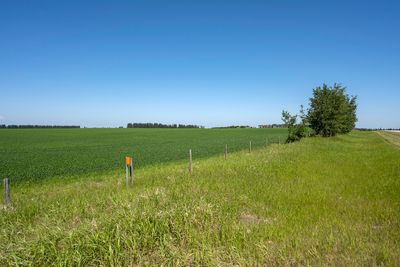 Summer Farmscape 2