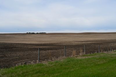 g13/58/1054658/3/174597621.38efbc74.JPEG