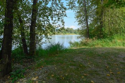 Fraser River
