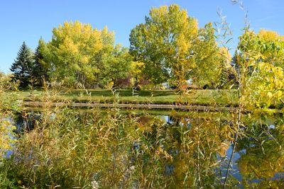 DSC_2297-Edit__1200w.jpg
