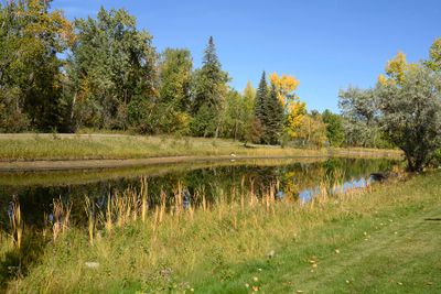 DSC_2311-Edit_1200h.jpg