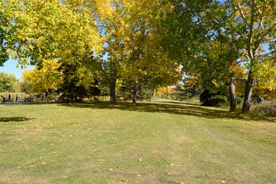 DSC_2312-Edit_1200h.jpg