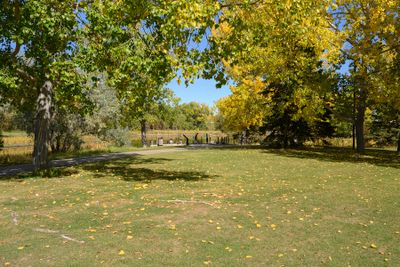 DSC_2313-Edit_1200w.jpg