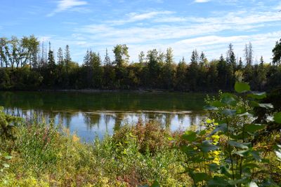 DSC_2320-Edit_1200h.jpg