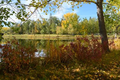 DSC_2322-Edit_1200h.jpg