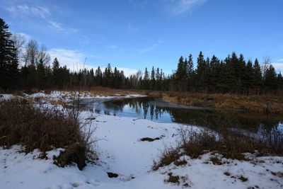 DSC_2372-Edit_1200h.jpg